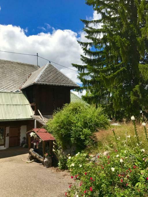 Echtes Schwarzwaldhaus - Traditionell & Modern แบร์เนา อัม ชวาร์ซวัลด์ ภายนอก รูปภาพ